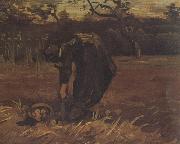 Vincent Van Gogh Peasant Woman Digging Up Potatoes (nn04) oil painting artist